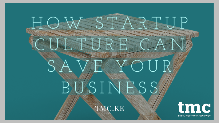 startup culture