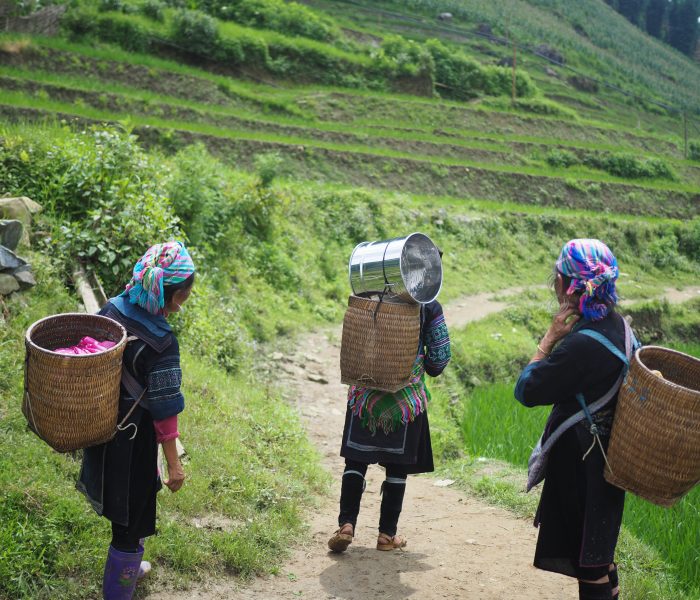 Traditional women labourers in Vietna,